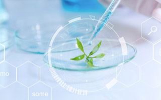 Using water-based formula Using water-based formula
