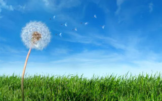 Clean odor technology to reduce the emission of harmful substances Clean odor technology to reduce the emission of harmful substances